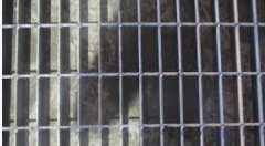 <b>安装镀锌钢格板时沐鸣需要注意哪些方面？</b>