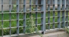 <b>简述钢格板沐鸣平台中扁钢的那些事</b>