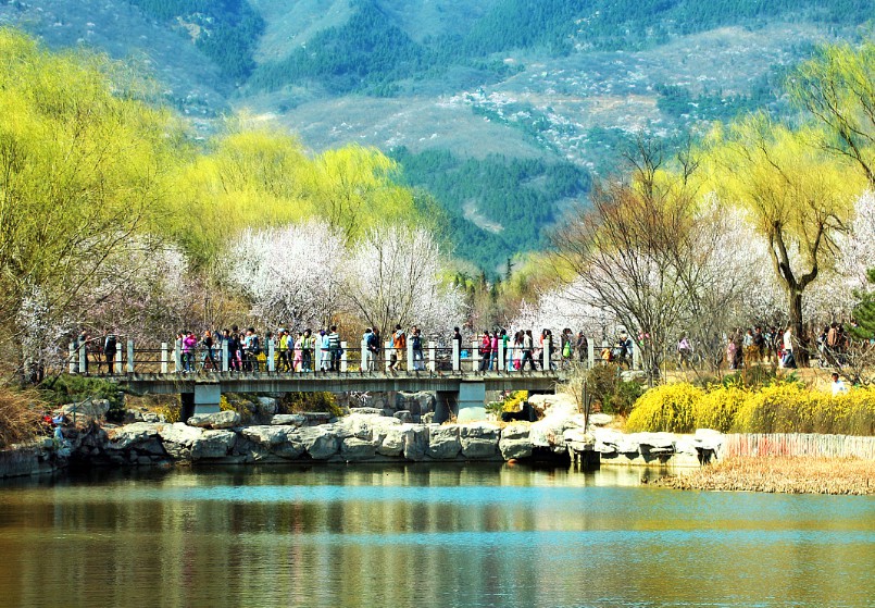 沐鸣注册网址,沐鸣怎么注册的?