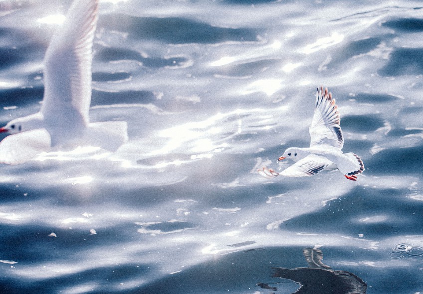 沐鸣注册网址,沐鸣怎么注册的?