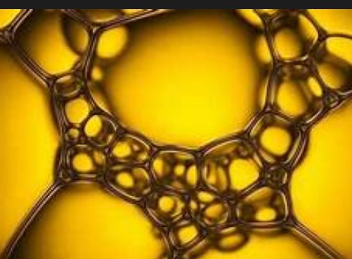 沐鸣注册网址,沐鸣怎么注册的?